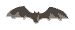 bat2.gif